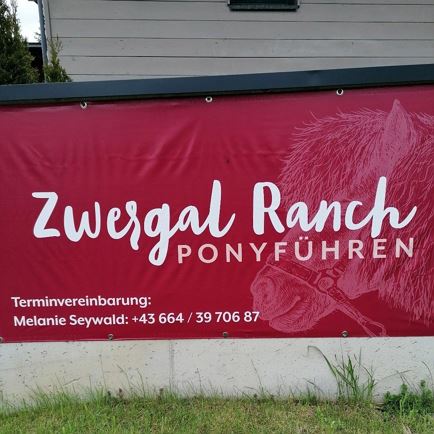 Zwergal Ranch - Ponyführen