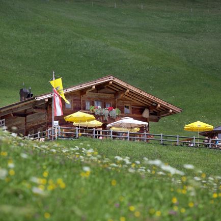 Alpengasthaus Salvenalm