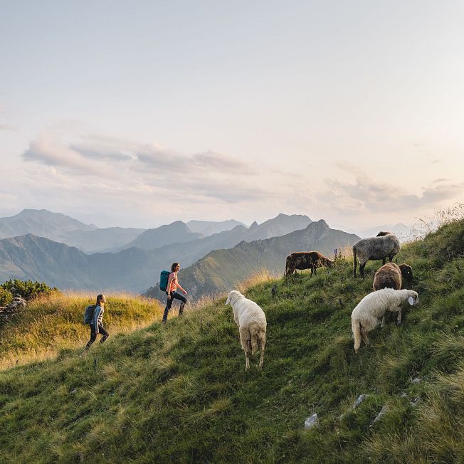 /media/gridteaser/pillerseetal-fieberbrunn-wandern-7.webp
