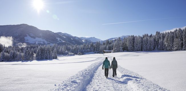/media/gridteaser/winterwandern-in-der-ferienregion-hohe-salve-4-3.webp