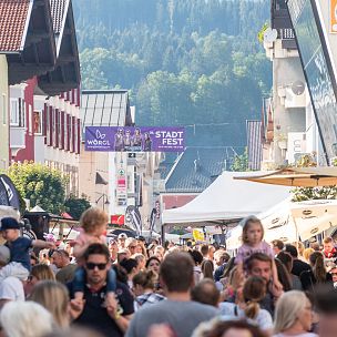 Village festivals & Town festivals