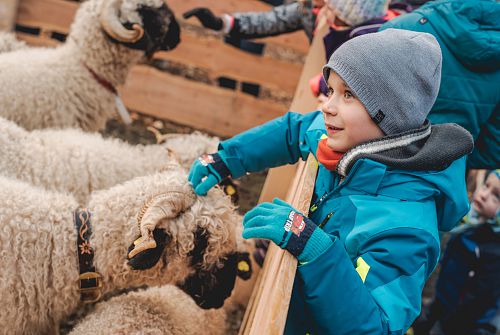 Pillerseetal - Veranstaltung - Magischer Advent
